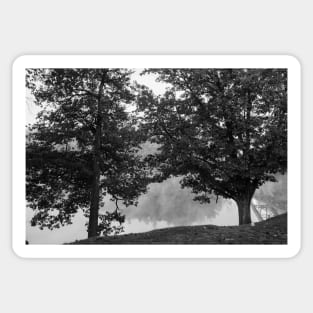 Black and white Two oak trees on river edge in early  morning fog Sticker